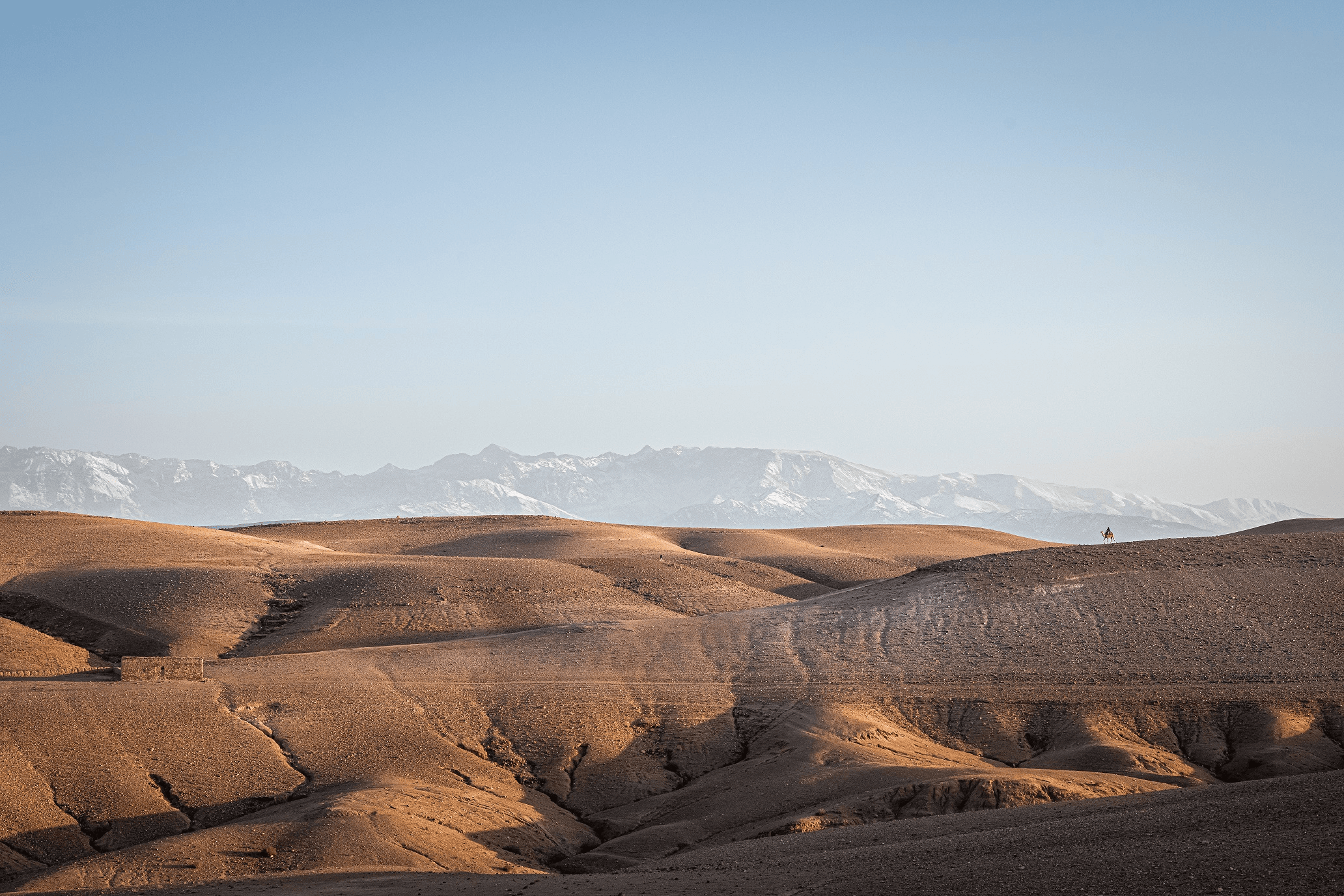 Meteorite hunting expedition in the Moroccan Sahara near Erfoud