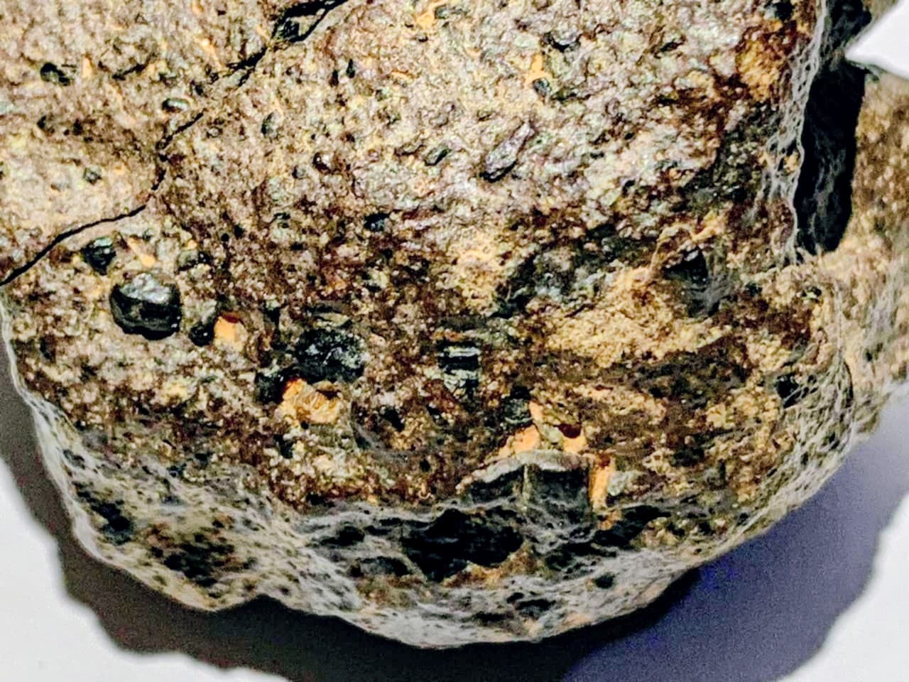 Real Martian meteorite from the Sahara