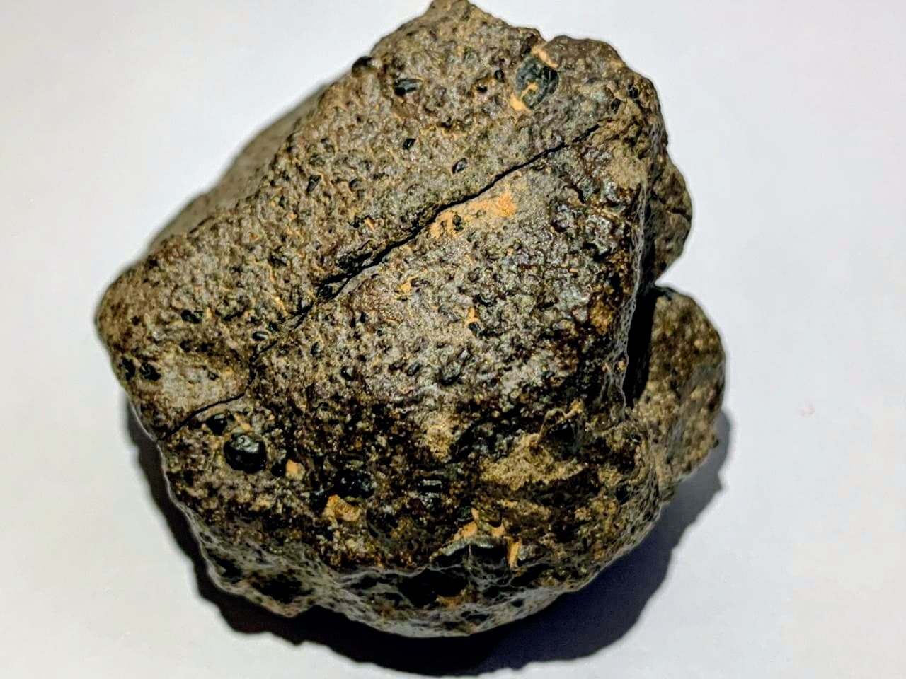 Real Martian meteorite from the Sahara